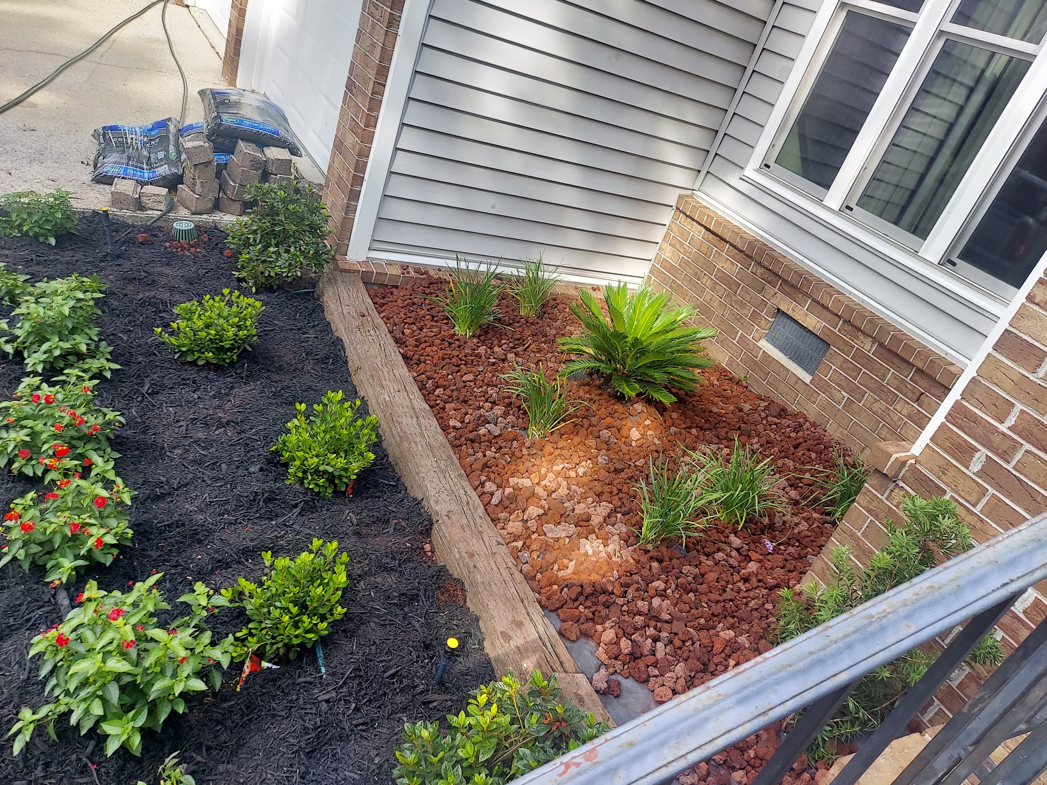 Fresh mulch bed with red plants beside a house