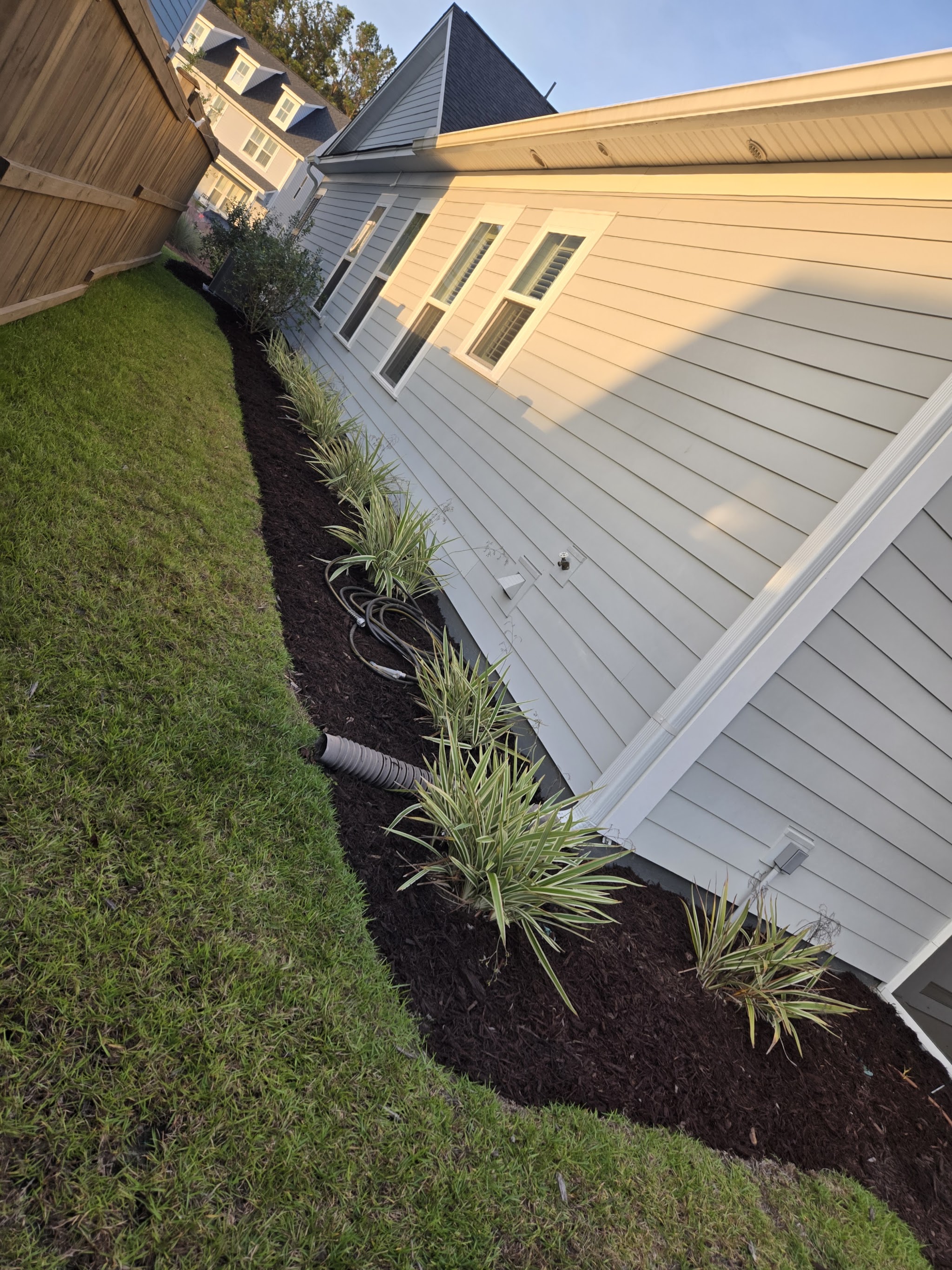 A tidy strip of lawn and mulch with ornamental grasses along the side of a house