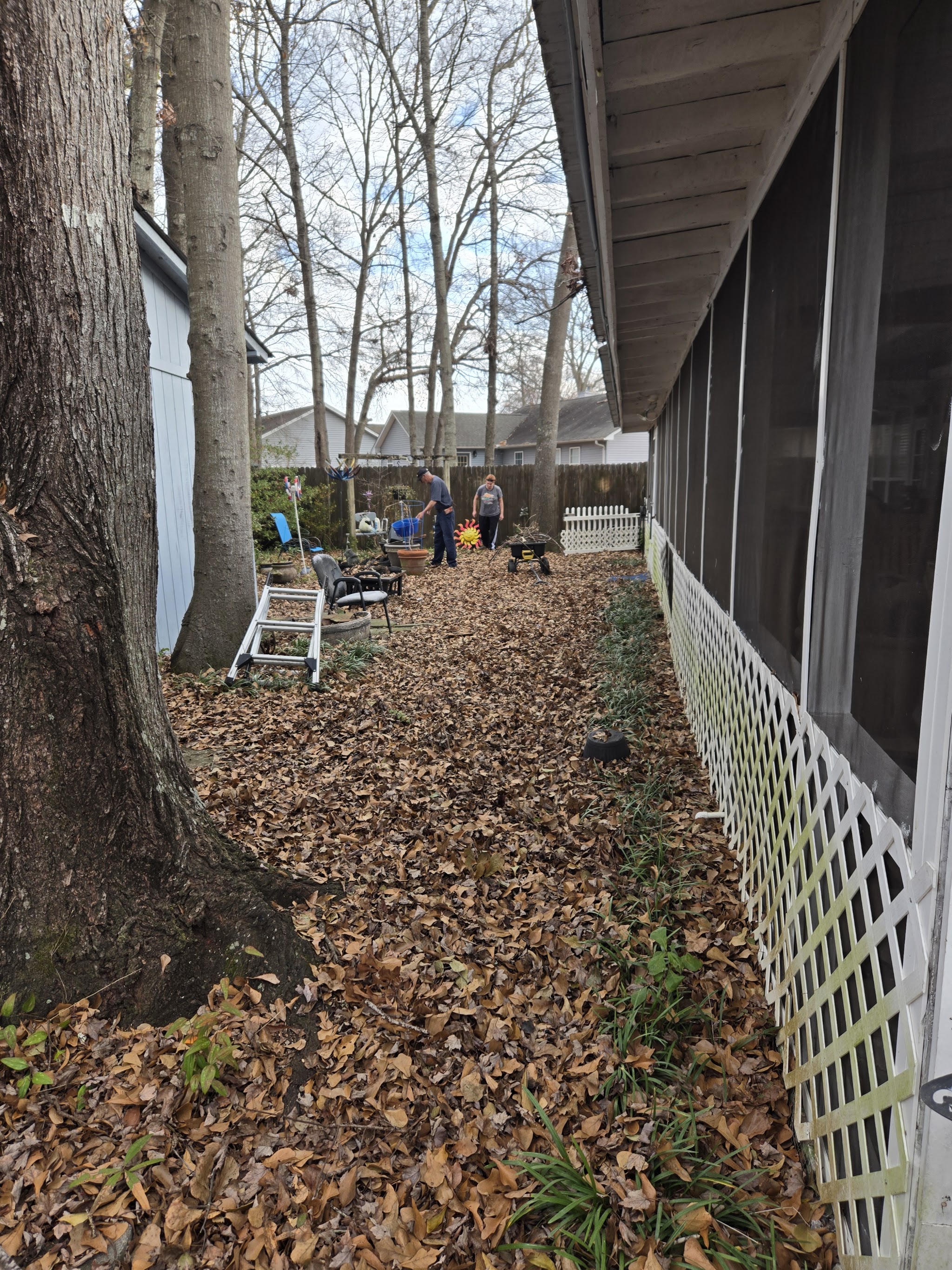 Leaf clean-up along a screened porch